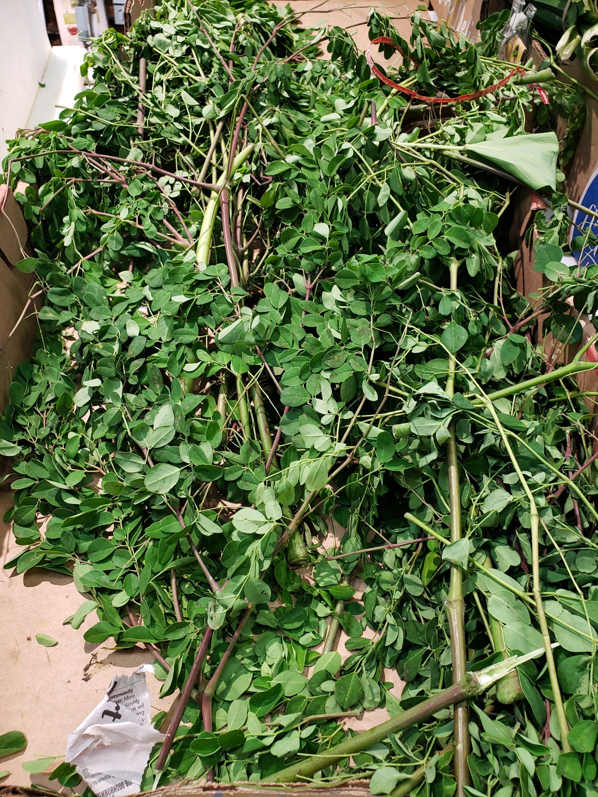 Seasoning Options #1